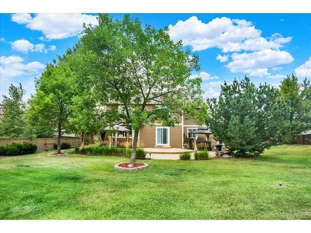 1080 Oldfield St, Castle Rock, CO 80104
