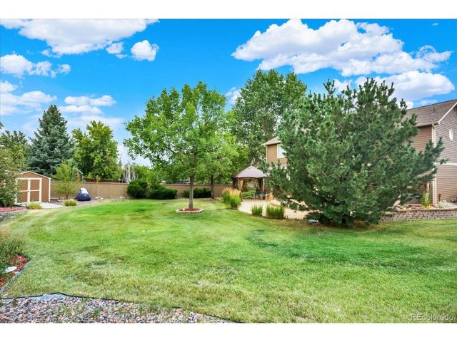1080 Oldfield St, Castle Rock, CO 80104