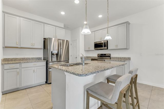 3205 AMARANTH STREET, Tavares, FL 32778