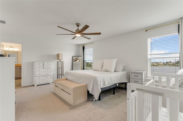 3205 AMARANTH STREET, Tavares, FL 32778