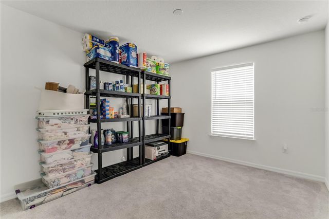 3205 AMARANTH STREET, Tavares, FL 32778