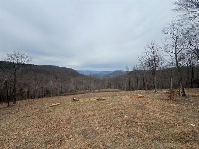 122 NC 8735, Jasper, AR 72641