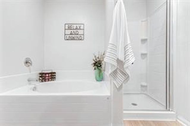 22610 Steel Blue Jaybird Drive, Hockley, TX 77447