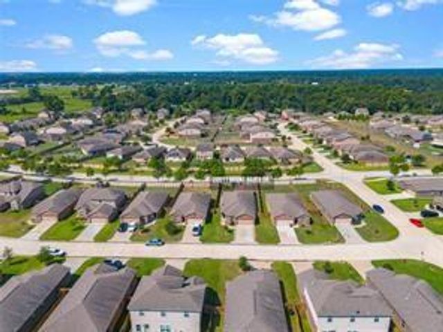 22610 Steel Blue Jaybird Drive, Hockley, TX 77447