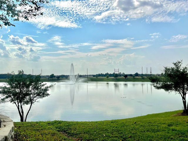 22610 Steel Blue Jaybird Drive, Hockley, TX 77447