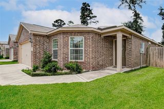 22610 Steel Blue Jaybird Drive, Hockley, TX 77447