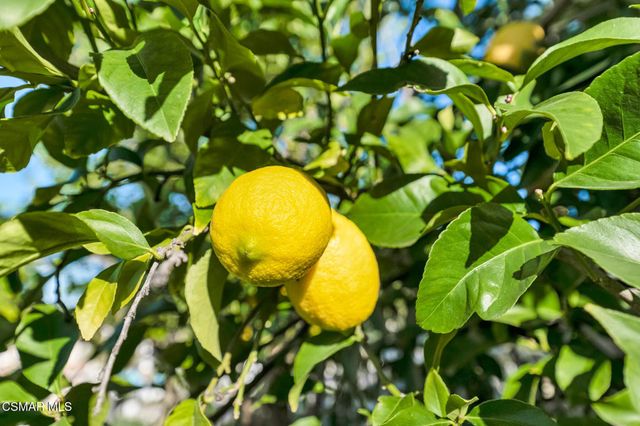 24739 Via Madera, Calabasas, CA 91302