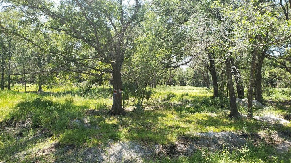 Image 11 of property listing at 6420 N 47TH STREET, Tampa, FL 33610