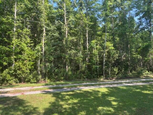0 Gallashaw Road, Summerville, SC 29483
