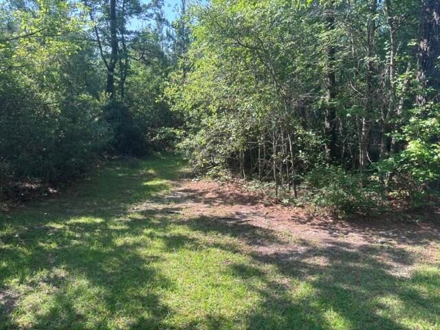 0 Gallashaw Road, Summerville, SC 29483