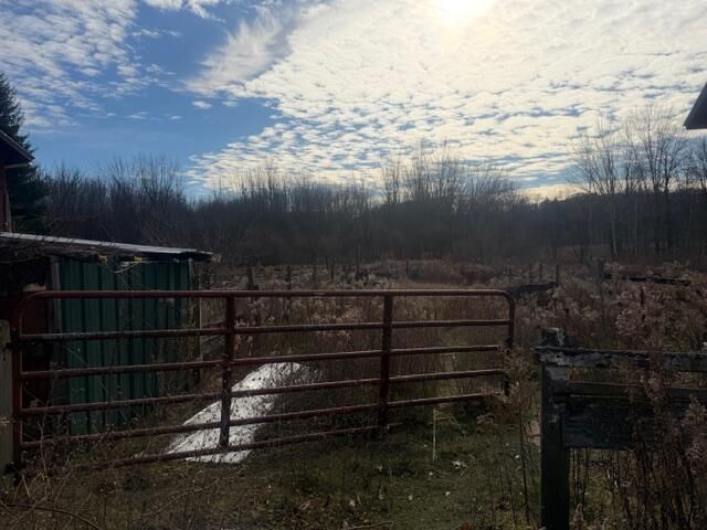 1209 S Baldwin Avenue, Fremont, MI 49412