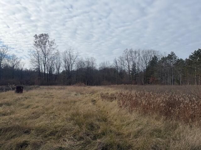 1209 S Baldwin Avenue, Fremont, MI 49412