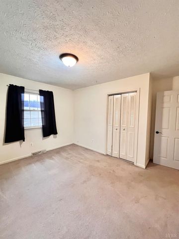 2229 Cedar Gate Rd, Madison Heights, VA 24572