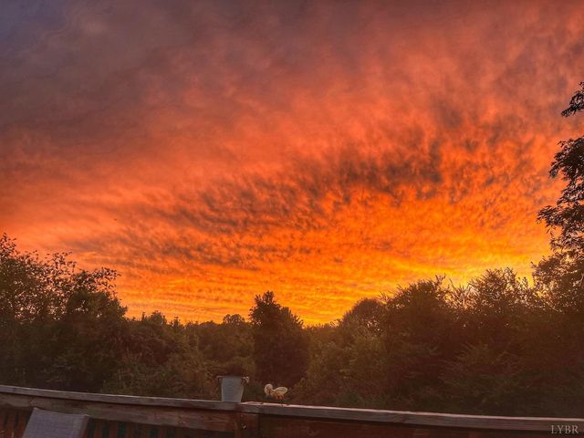 2229 Cedar Gate Rd, Madison Heights, VA 24572