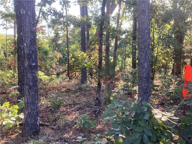 Lakeside Drive, Rogers, AR 72756