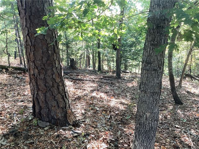 Lakeside Drive, Rogers, AR 72756