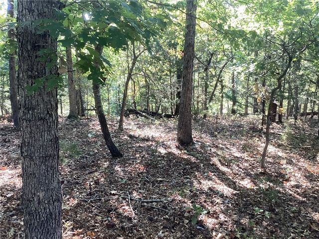 Lakeside Drive, Rogers, AR 72756