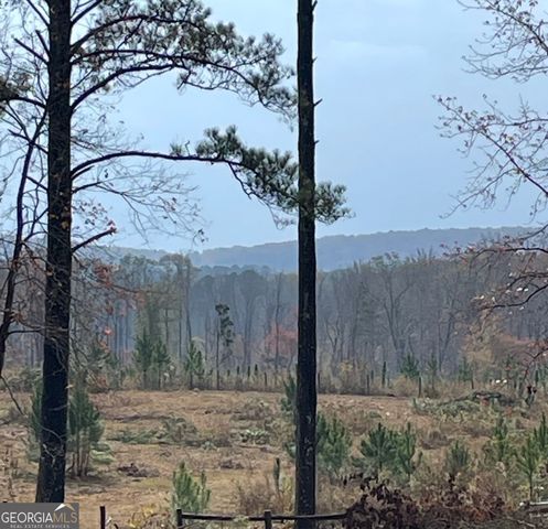 4374 River Road, Manchester, GA 31816