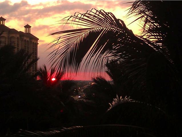 801 S Olive Avenue 921, West Palm Beach, FL 33401