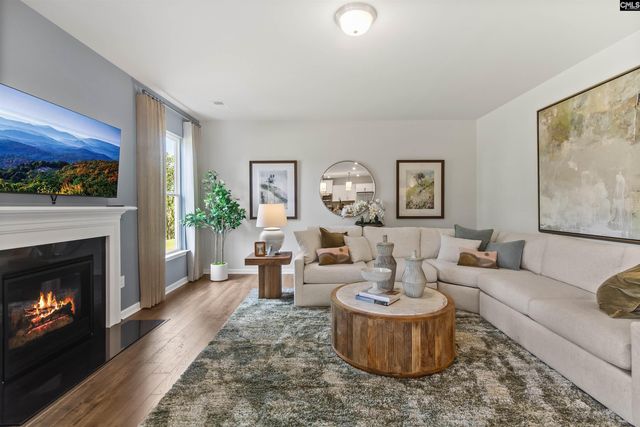 350 Chapin Place Way, Chapin, SC 29036