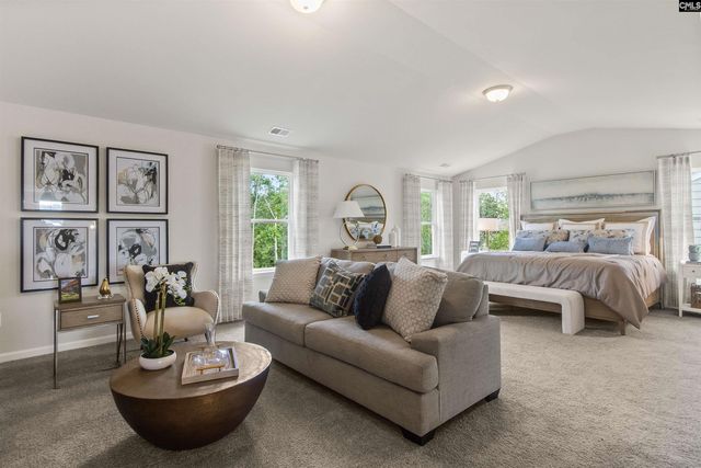 350 Chapin Place Way, Chapin, SC 29036