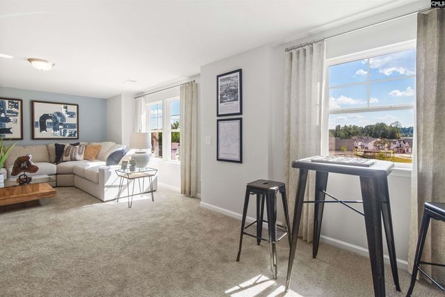 350 Chapin Place Way, Chapin, SC 29036