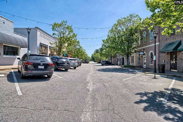 350 Chapin Place Way, Chapin, SC 29036