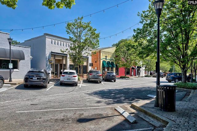 350 Chapin Place Way, Chapin, SC 29036