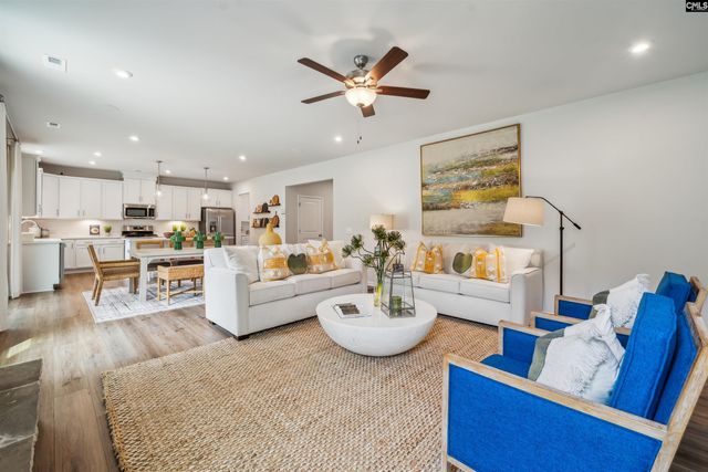 350 Chapin Place Way, Chapin, SC 29036