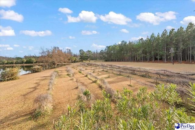 739 & 741 Jones Rd, Lake City, SC 29560