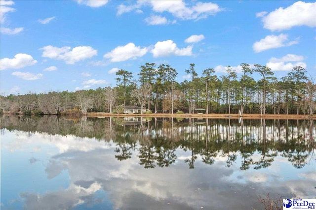 739 & 741 Jones Rd, Lake City, SC 29560