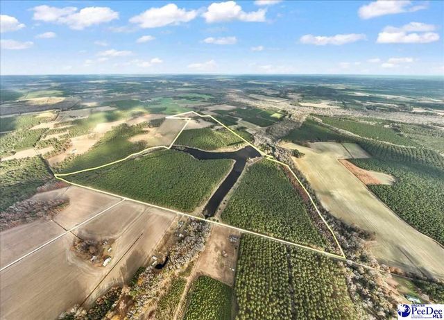 739 & 741 Jones Rd, Lake City, SC 29560