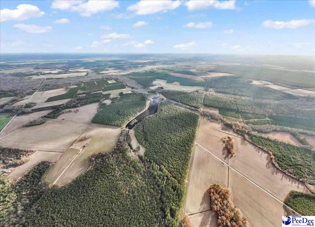 739 & 741 Jones Rd, Lake City, SC 29560