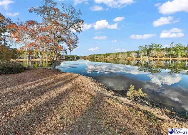 739 & 741 Jones Rd, Lake City, SC 29560