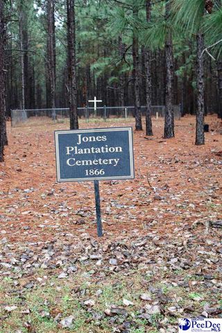 739 & 741 Jones Rd, Lake City, SC 29560