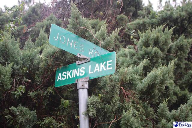 739 & 741 Jones Rd, Lake City, SC 29560