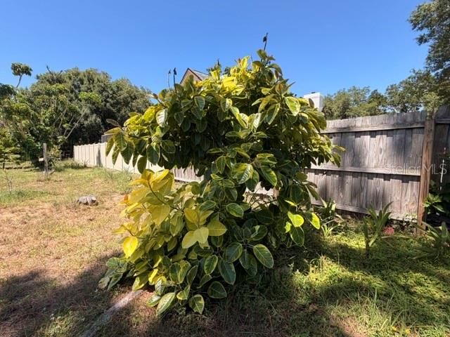 4944 MIDNIGHT LANE, Sarasota, FL 34235