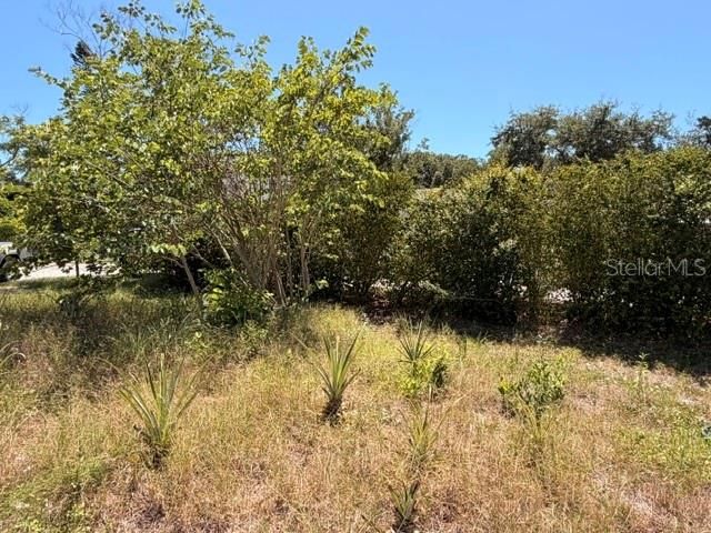 4944 MIDNIGHT LANE, Sarasota, FL 34235