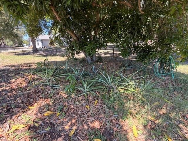 4944 MIDNIGHT LANE, Sarasota, FL 34235