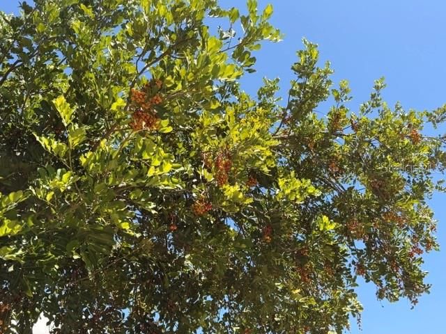 4944 MIDNIGHT LANE, Sarasota, FL 34235