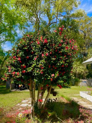 18708 NW 242ND STREET, High Springs, FL 32643