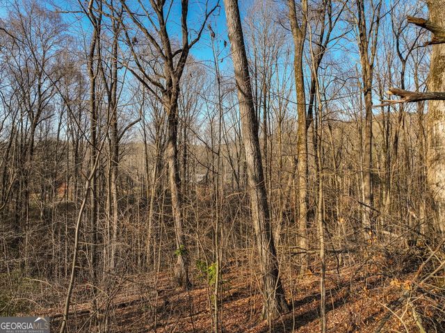 LOT 12 Mount Mincie Road, Murrayville, GA 30564
