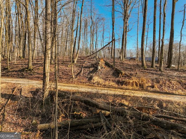 LOT 12 Mount Mincie Road, Murrayville, GA 30564