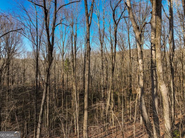 LOT 12 Mount Mincie Road, Murrayville, GA 30564