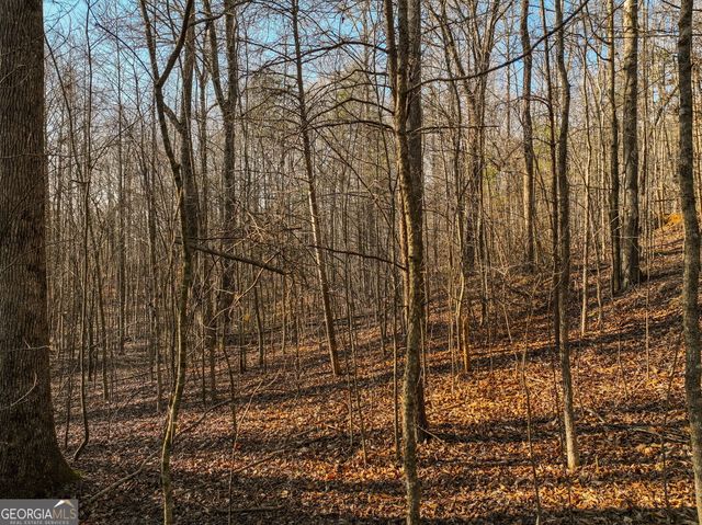 LOT 12 Mount Mincie Road, Murrayville, GA 30564