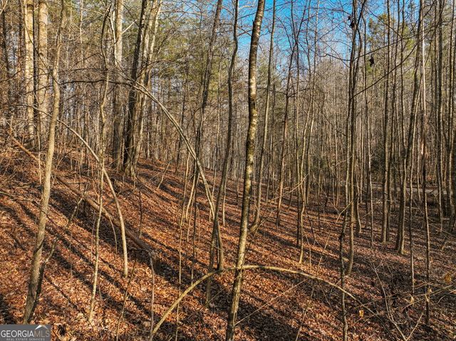 LOT 12 Mount Mincie Road, Murrayville, GA 30564