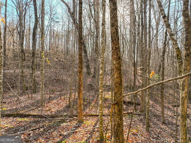 LOT 12 Mount Mincie Road, Murrayville, GA 30564