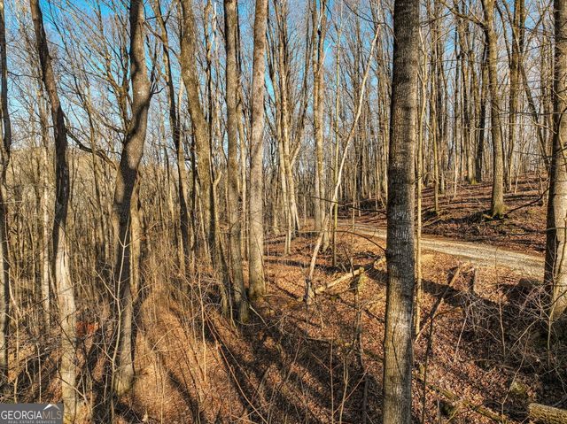 LOT 12 Mount Mincie Road, Murrayville, GA 30564