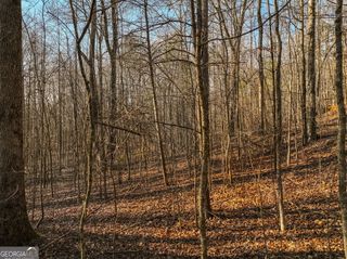 LOT 12 Mount Mincie Road, Murrayville, GA 30564