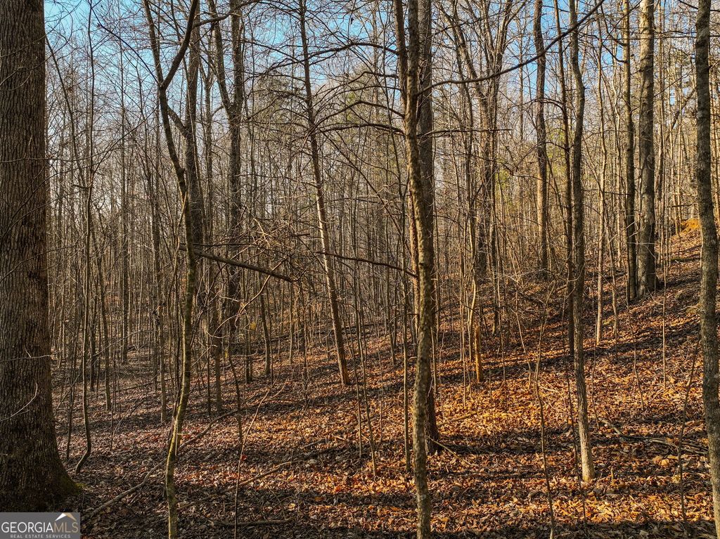 LOT 12 Mount Mincie Road, Murrayville, GA 30564
